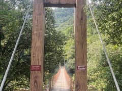 -燕子河大峡谷天坑仙境