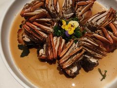 -蝶园·装修中(BFC外滩金融中心店)