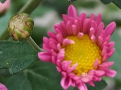 -共青国家森林公园-南大门停车场