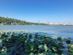 -世纪缘湖滨花园酒店(玄武湖店)