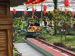 -南宫五洲植物乐园