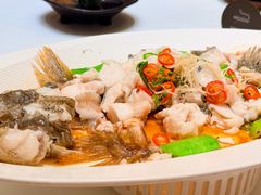 鲜花椒油浸笋壳鱼-侨美食家·粤菜(体育西路店)