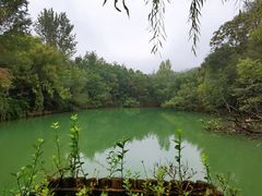 -井塘古村