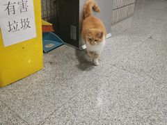 -清真餐厅