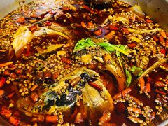 -味之绝美蛙鱼头火锅(高新店)