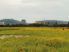 -长广溪湿地公园