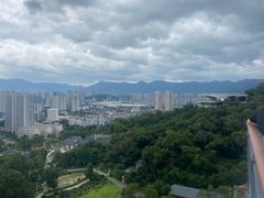 -金鸡山公园