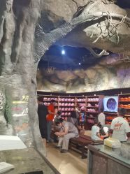 -探洞工场(丰科万达旗舰店)