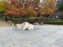 -元大都城垣遗址公园