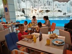 大堂-帝企鹅自助餐厅•儿童岛•真企鹅(长隆企鹅酒店)