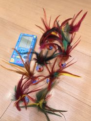 -安利上海体验馆