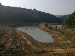 -东莞市大岭山森林公园