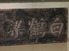 -白鹤梁水下博物馆