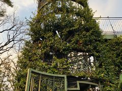 -三鹰之森吉卜力美术馆