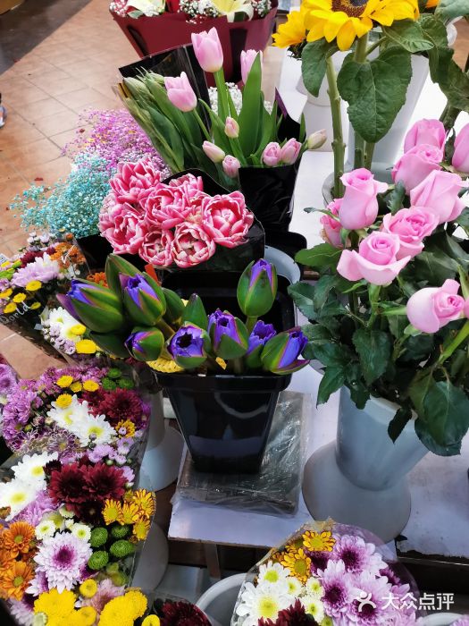 长春青怡坊鲜花批发(青怡坊花鸟市场店)图片