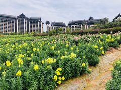 -清远熹乐谷温泉度假酒店