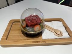 -哈根达斯(深圳海岸城店)