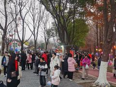 -武汉园博园(武汉自然博物馆)