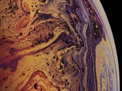 -清晖小苑•顺德地方菜(壹海城店)