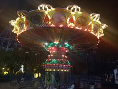 -锦江乐园舞狸花花游园会(夜场专享)