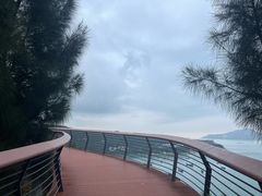 -东澳岛