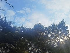 -南京维景国际大酒店(南京博物院店)