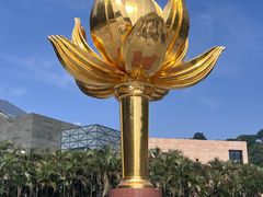-金莲花广场