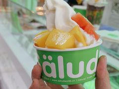 -Salud撒露欧洲冻酸奶(五道口购物中心店)