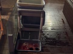 -二荆条·蜀鲜汇城市森林火锅