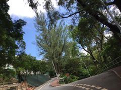 -大埔公路-马料水段香港中文大学(公交站)