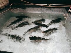 -苏浙徽·农家大院(开发区星湖101店)