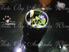 贵妃不醉酒-LAMP BAR 水烟音乐酒吧