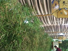 -慢丽江·云南野生菌土鸡锅(付家庄店)