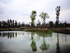 -三圣花乡旅游区