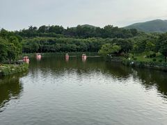 -大屏嶂森林公园