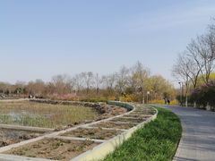 -大兴滨河森林公园