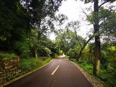 -张坝桂圆林公园
