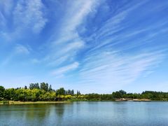 -东郊湿地公园