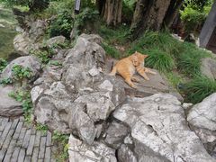 -无锡惠山寺