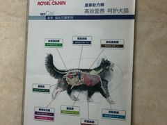 -酷宠动物医院(天通西苑店)