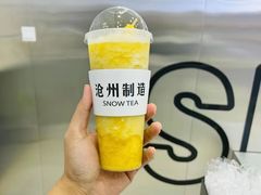 鲜多肉金菠萝-SNOWTEA漫雪(水月寺店)