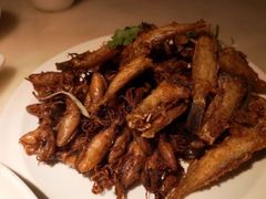-日丰园海肠水饺·老字号大连海鲜(和平广场店)