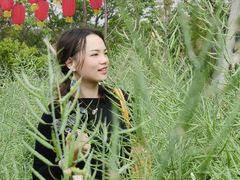 -天适樱花悠乐园
