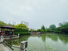 -嘉定紫藤园