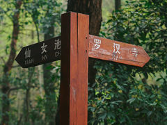 -青龙山国家森林公园