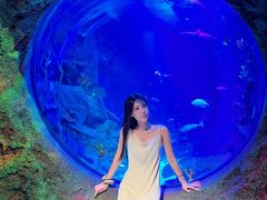 -沈阳海洋探索中心