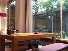 -天水蔬食料理(树德之光店)