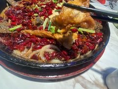 -老板恋上鱼(高新万达店)