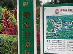 -野象谷景区
