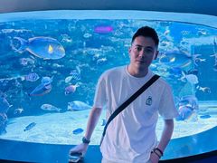 -海合安成都极地海洋公园